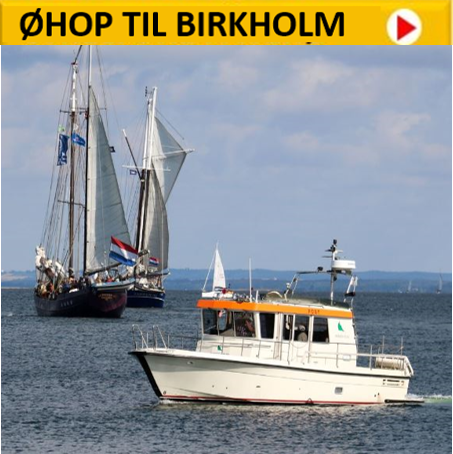 Øhop til Birkholm